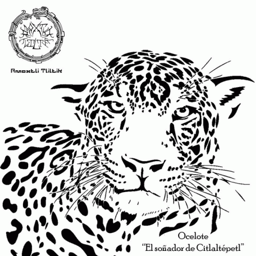 Amoxtli Tliltik : Ocelote El Soñador de Citlaltépetl